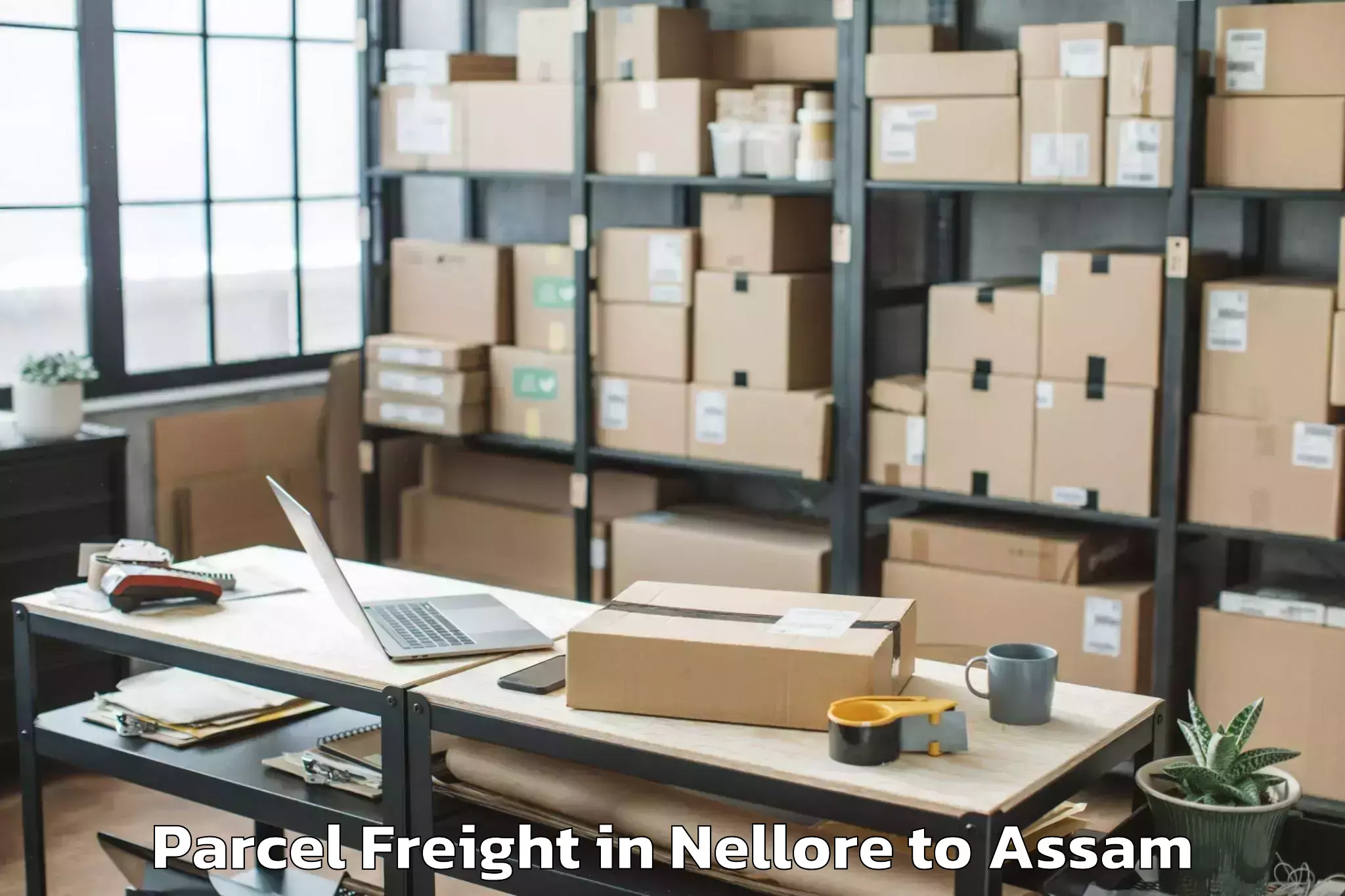 Quality Nellore to Rupsi Airport Rup Parcel Freight